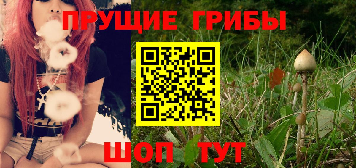 Галлюциногенные грибы Magic Shrooms  Галлюциногенные грибы мицелий  Вход с VPN  Коряжма 